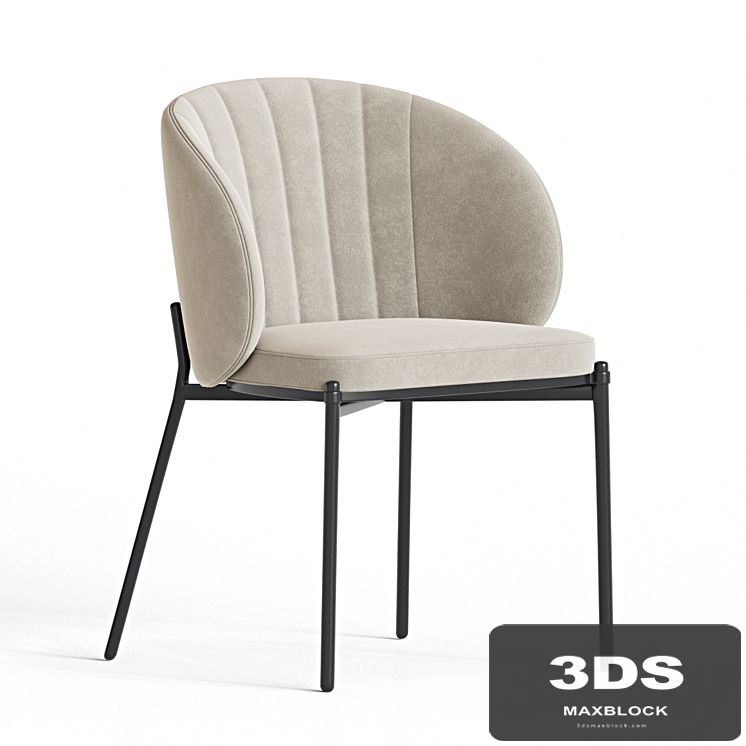 Shell Back Dining Chair