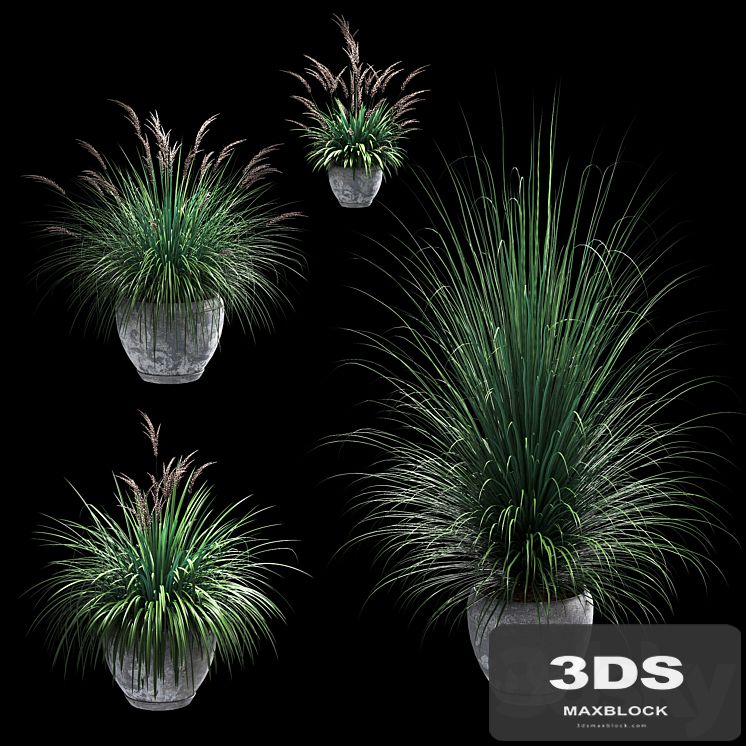 Outdoor potted plants. 4 models