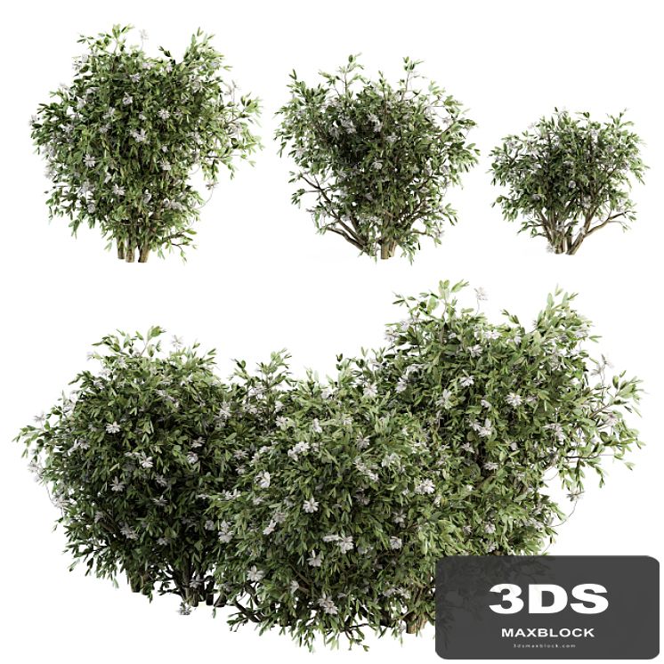 Flower Bush - Bush Set 15