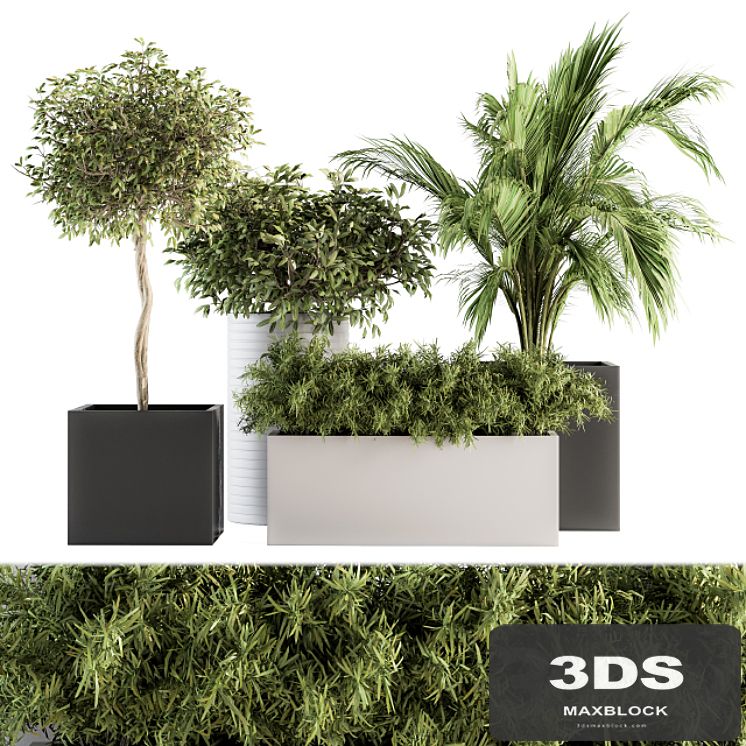 indoor Plant Set 188 - Plant Boxes