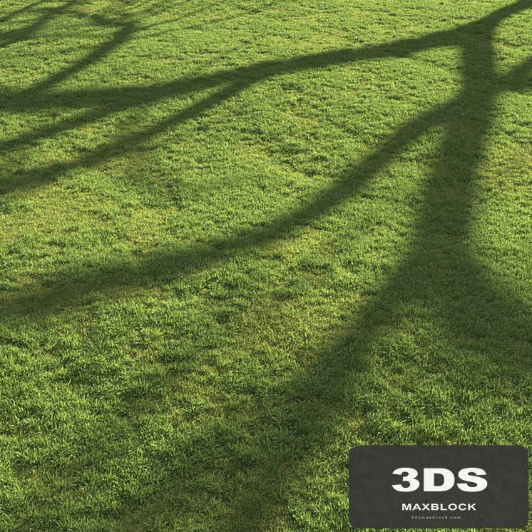 Flat grass