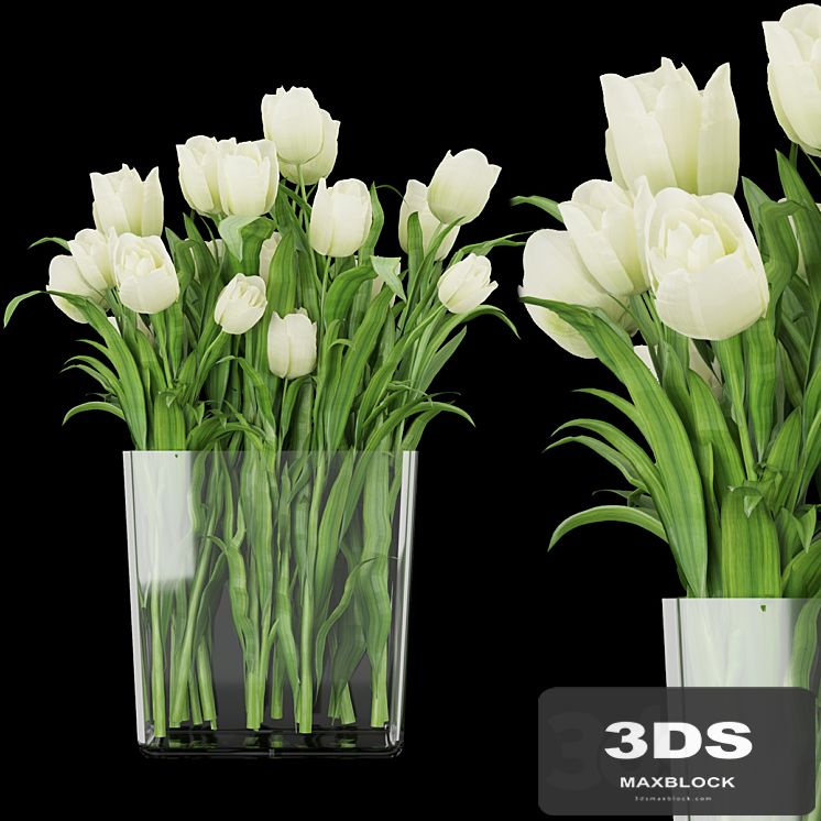 Collection plant vol 119