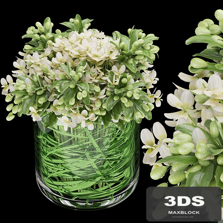 Collection plant vol 123