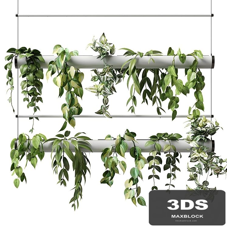 Ampel plants in a flowerpot pipe