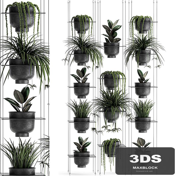 Vertical gardening home garden flower shelf with Chlorophytum, Ficus, Rowley's Krestovnik, phytostena, phytomodule. Set 61