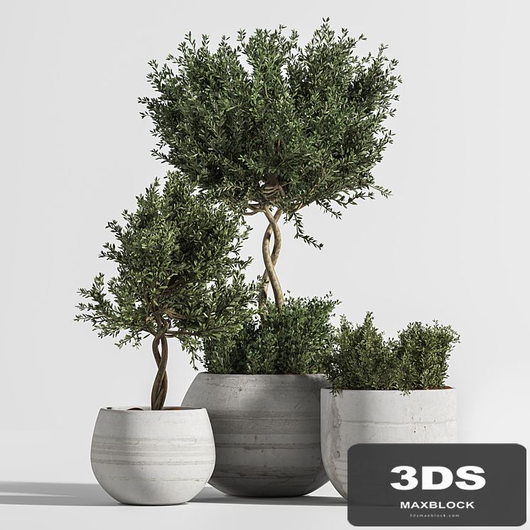 Plant Indoor with Concrete Leaf