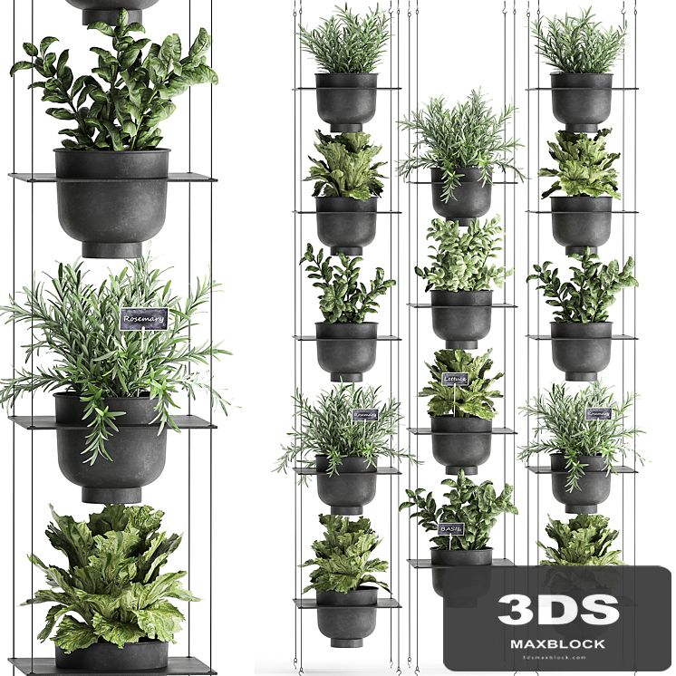 Vertical gardening home garden kitchen garden, shelf suspension with plants, phytosten, phytomodule. Set 62.