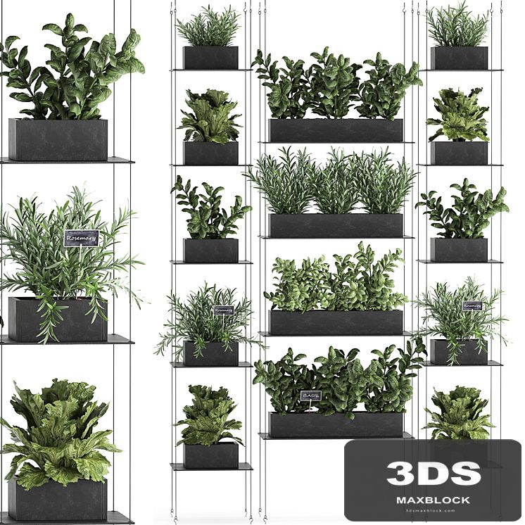 Vertical gardening home garden kitchen garden, shelf suspension with plants, phytosten, phytomodule. Set 63.