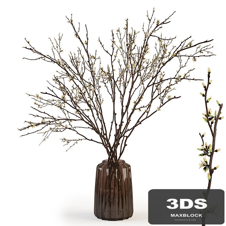 Branches in a vase 015
