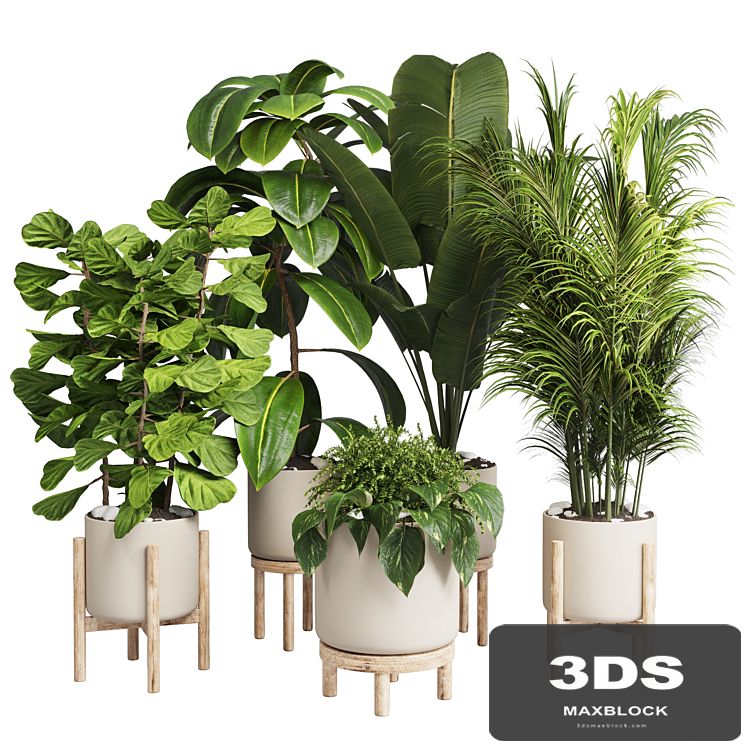 collection Indoor plant 30 -wood vase
