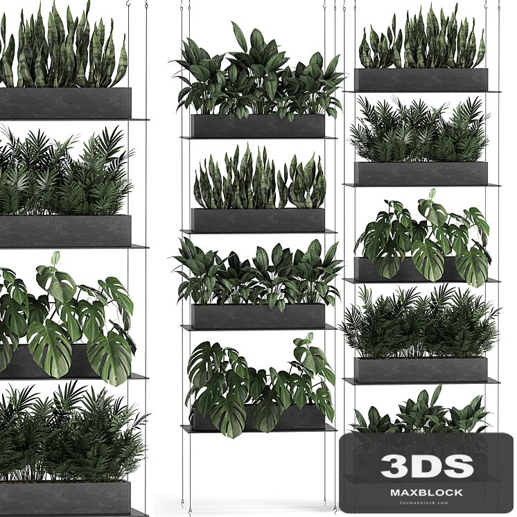 Vertical gardening of the home garden on a black flower shelf with a Monstera, a phytosten, a phytomodule. Set of 64