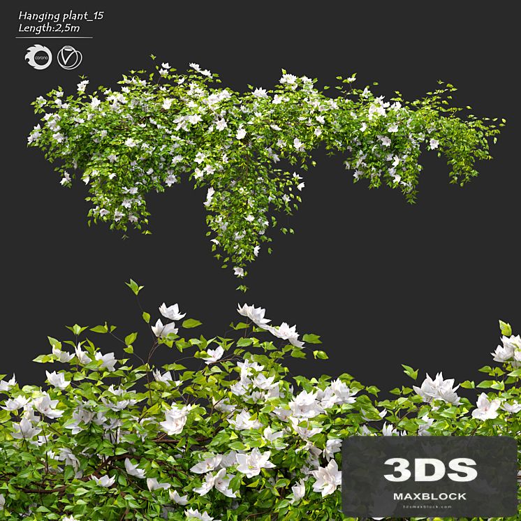 Hanging Plant 15