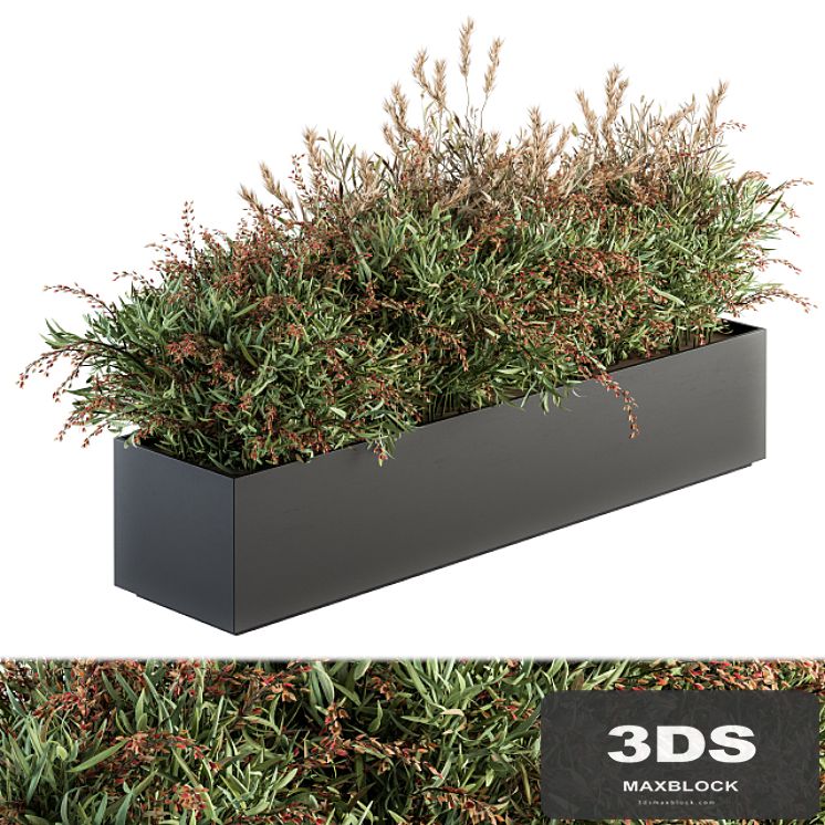 Outdoor Plant Set 166 - Plant Box Bush