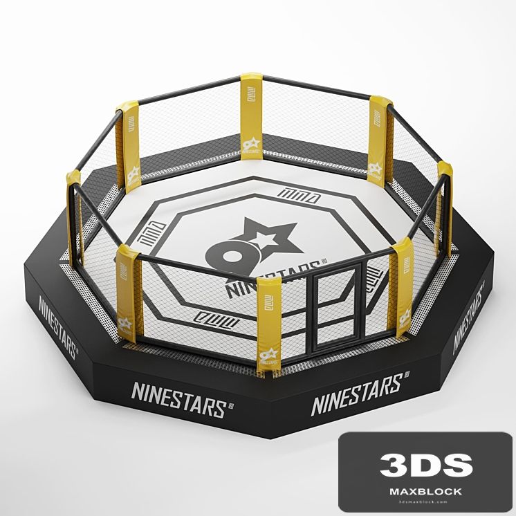 MMA arena octagon