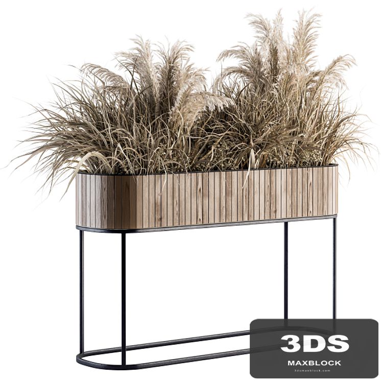 indoor Plant Set 122- Dried Plants in Wood Stand