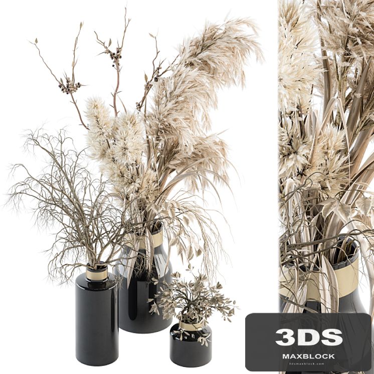 Dry plants 70 - Dried Pampas Set