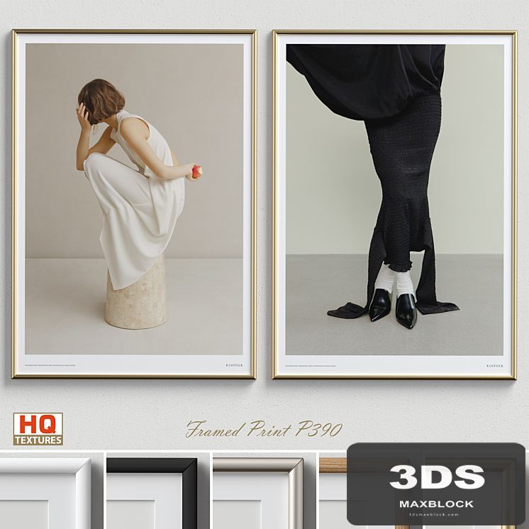 Framed Print P-390