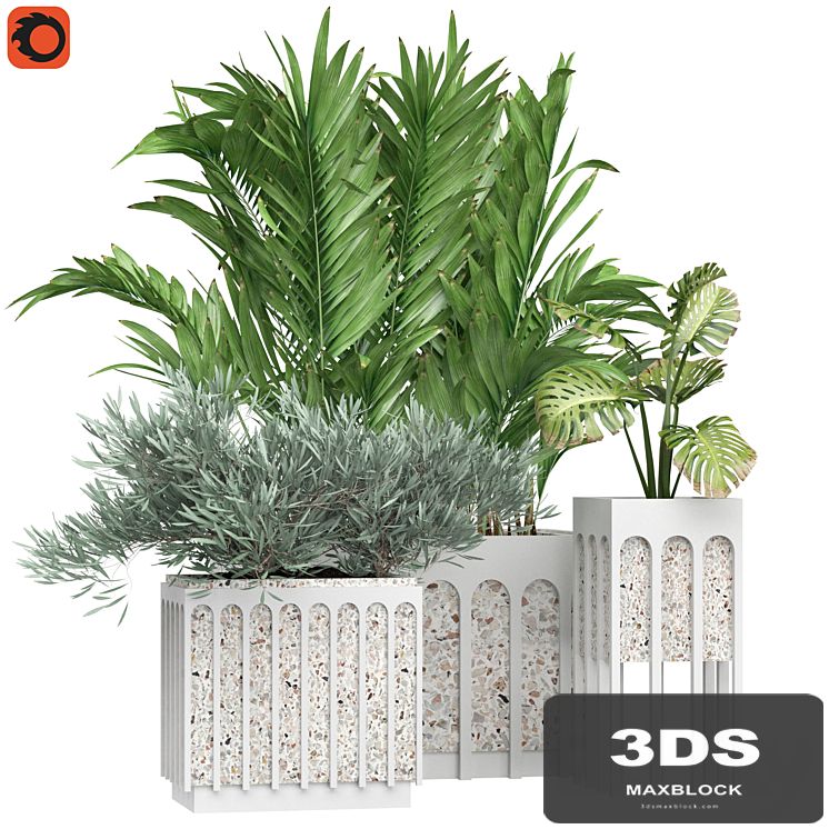 Flower Pack 166C