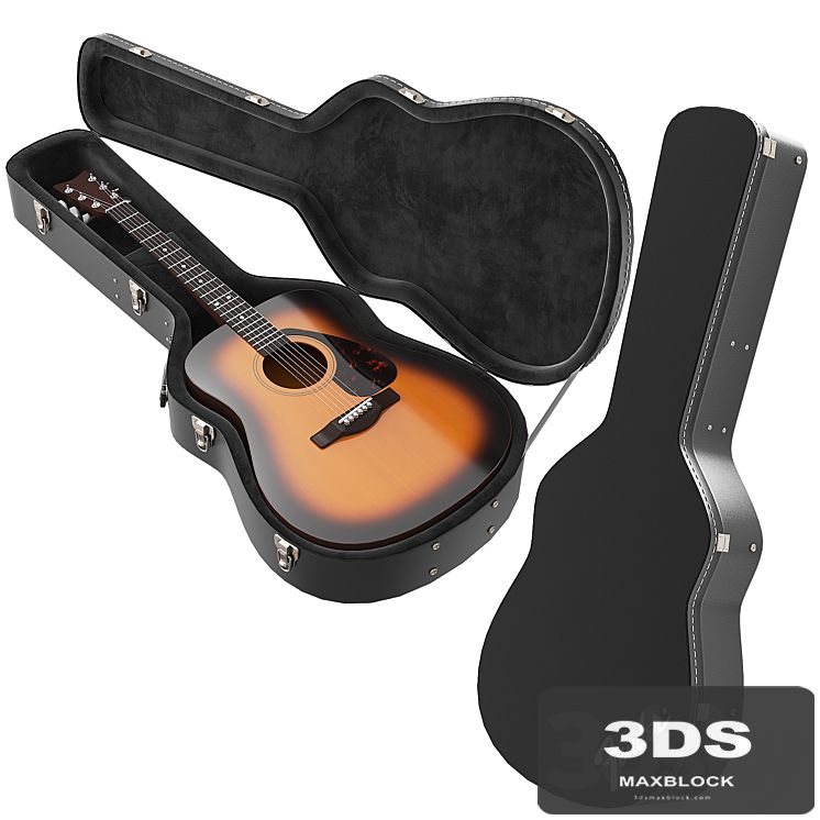 Guitar Case