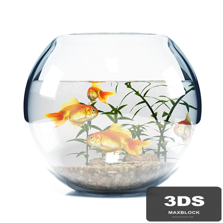 BOWL AQUARIUM
