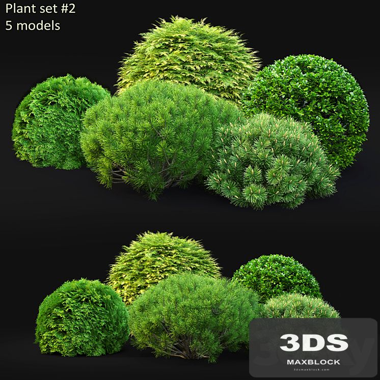 Plant set