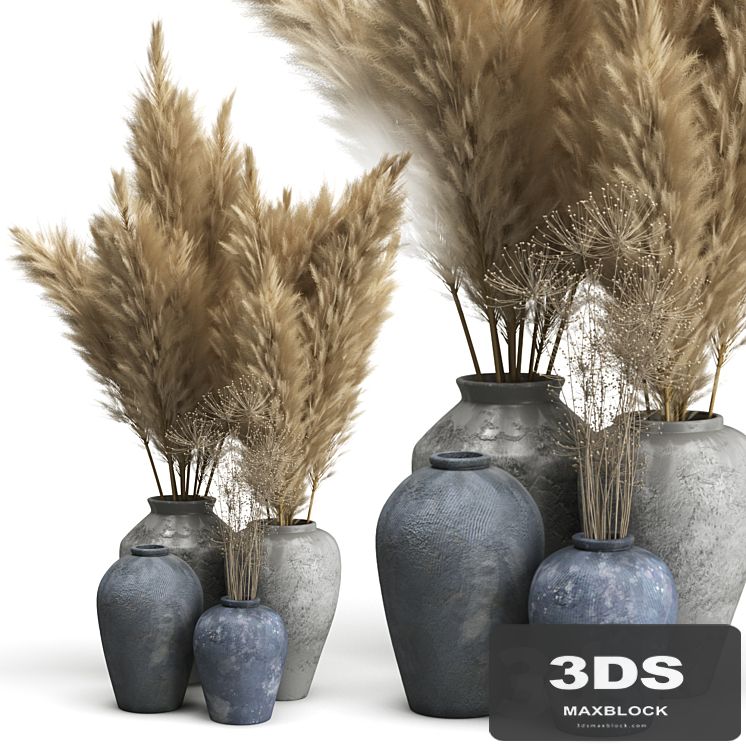 Decorative set of Clay Vases and Pampas Grass