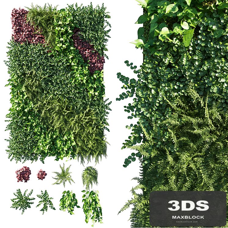Vertical Garden Green Wall 09