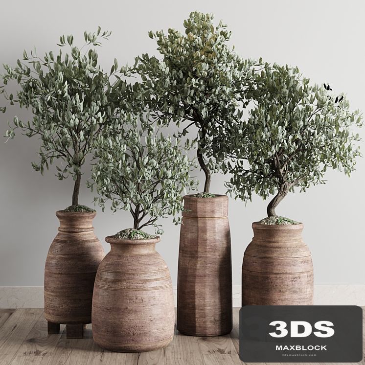 collection outdoor plant 19 -wood old vase