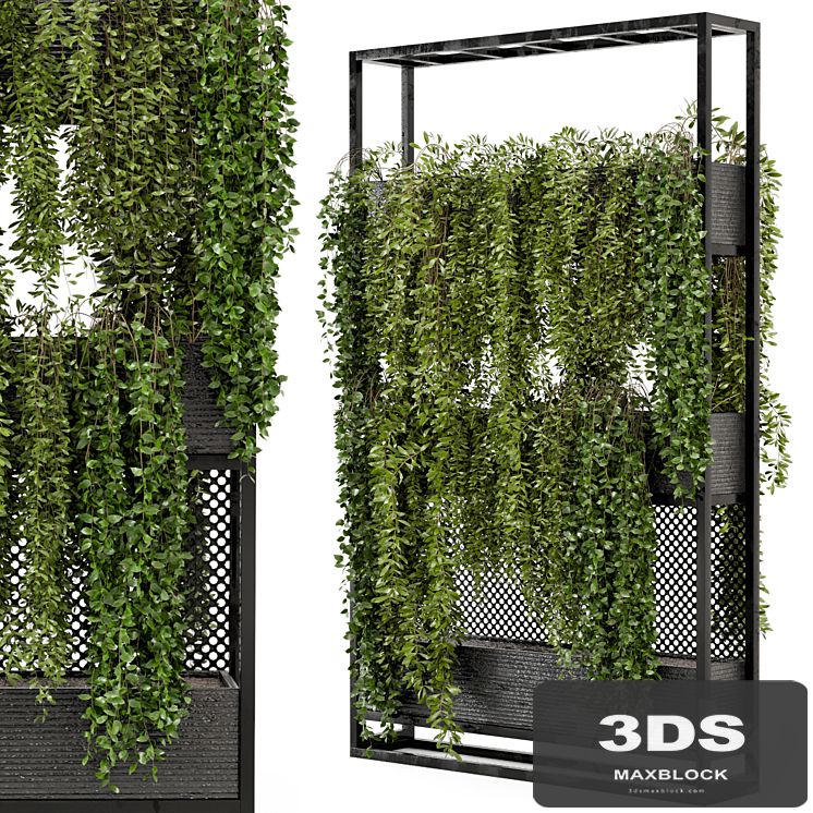 Indoor Hanging Plants in Metal Stand - Set 100