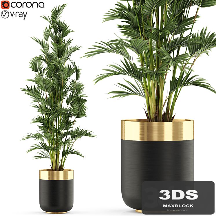 Plants collection 471