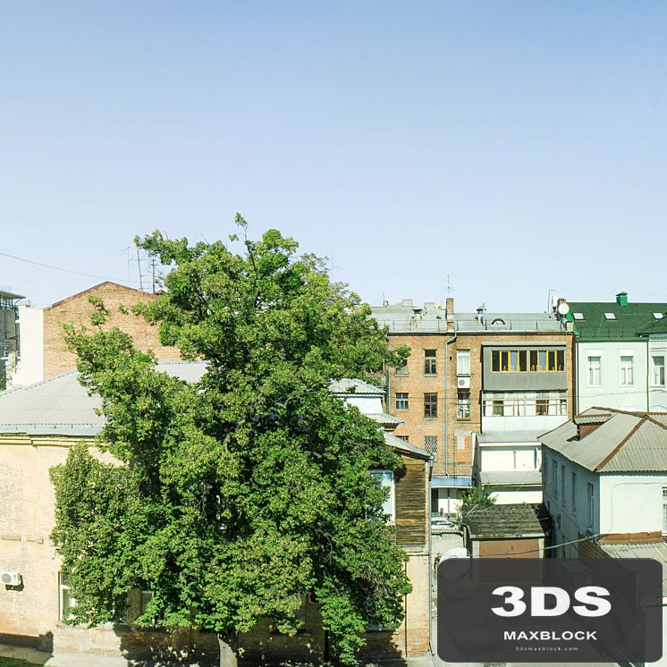 Panorama Window