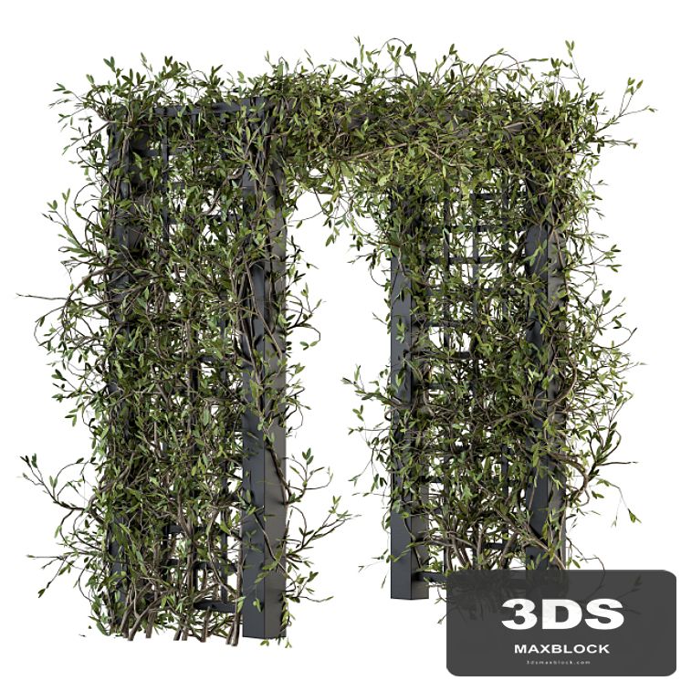 The plants pergola - Outdoor Plants 195