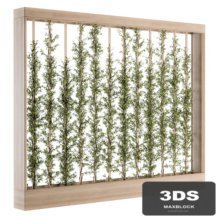 Vertical Garden Wood Frame - Plants Partition 22
