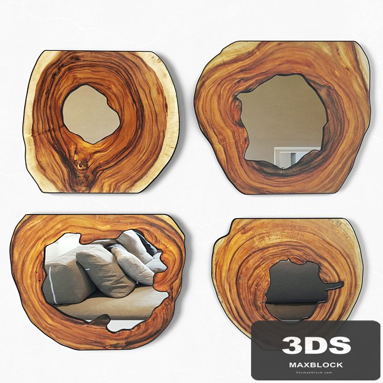 Organic Monkey Pod Mirrors 3