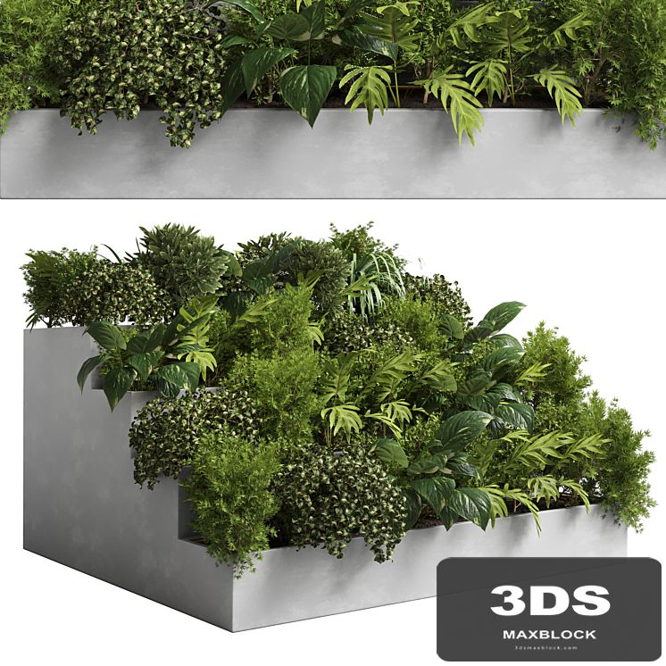 collection outdoor plant 22 - stairs concrete vase