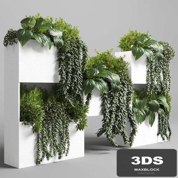 Collection Indoor plant-plant stand white concrete vase set 05