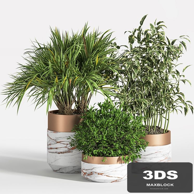 Indoor Plant Set 16