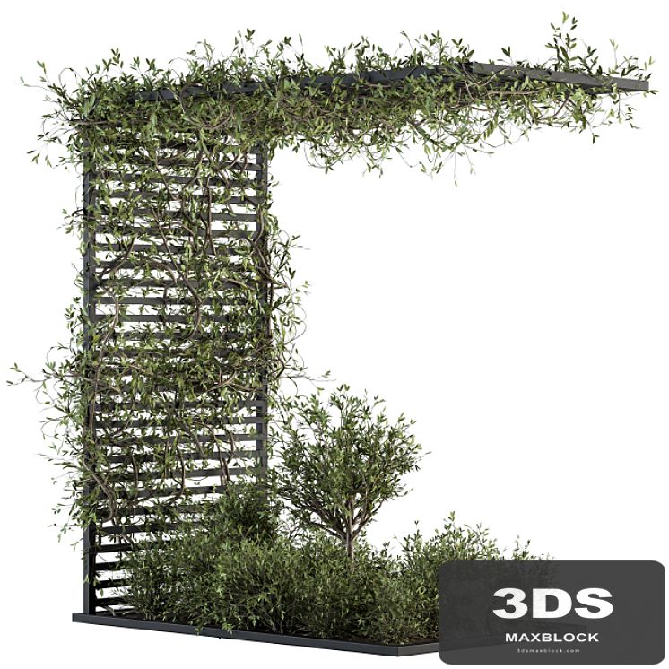 Garden set ivy and Bush - Garden Set 13