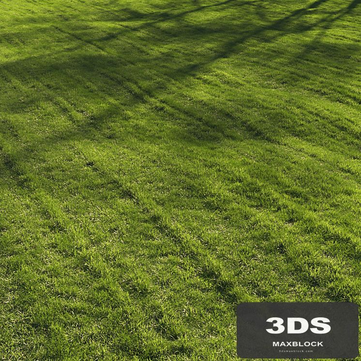 Grass lawn