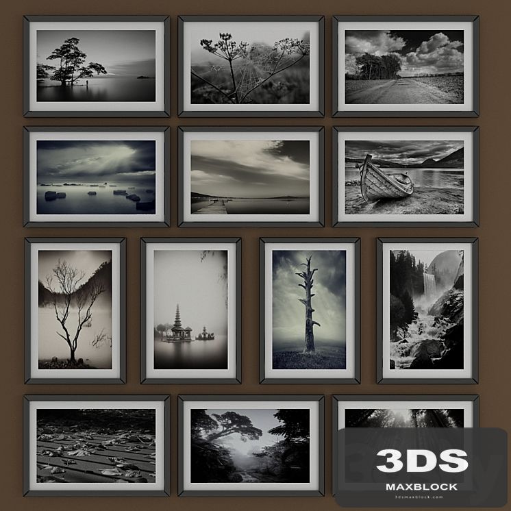 Black and white pictures of Nature