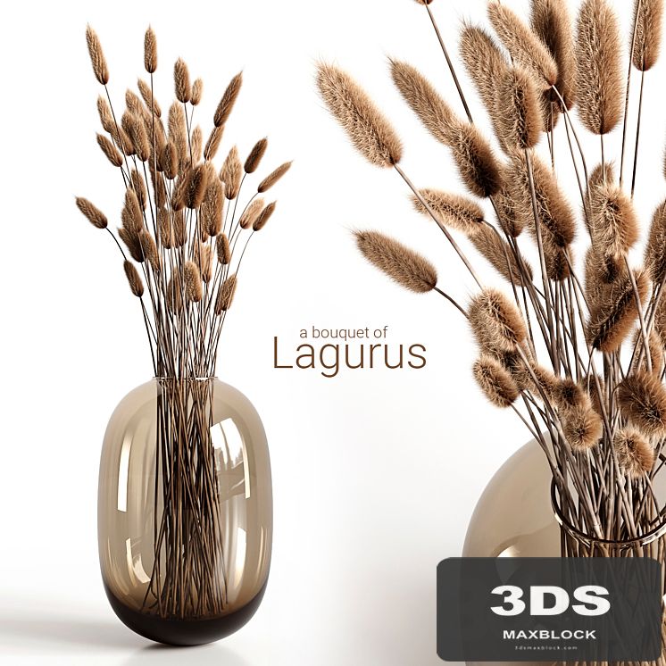 A bouquet of lagurus