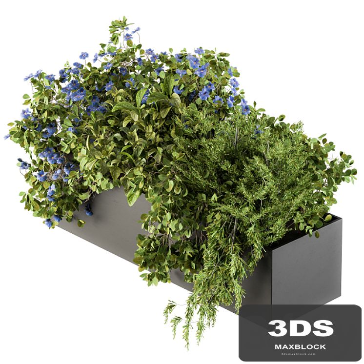 Outdoor Plant Set 208 - Plant Box Blue Flower