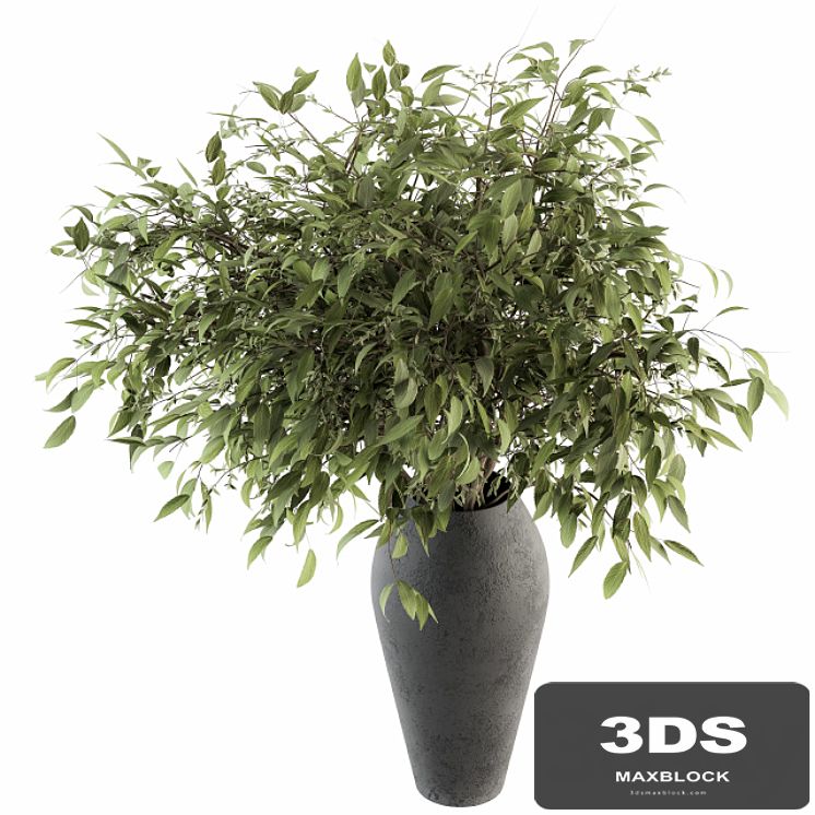 Bouquet - Green Branch in vase 45