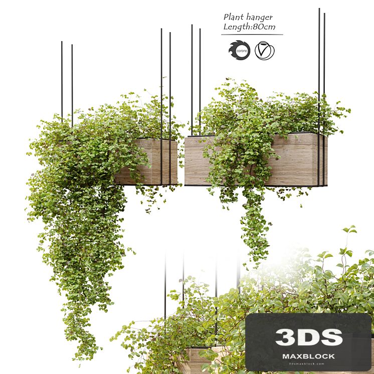 Plant hanger