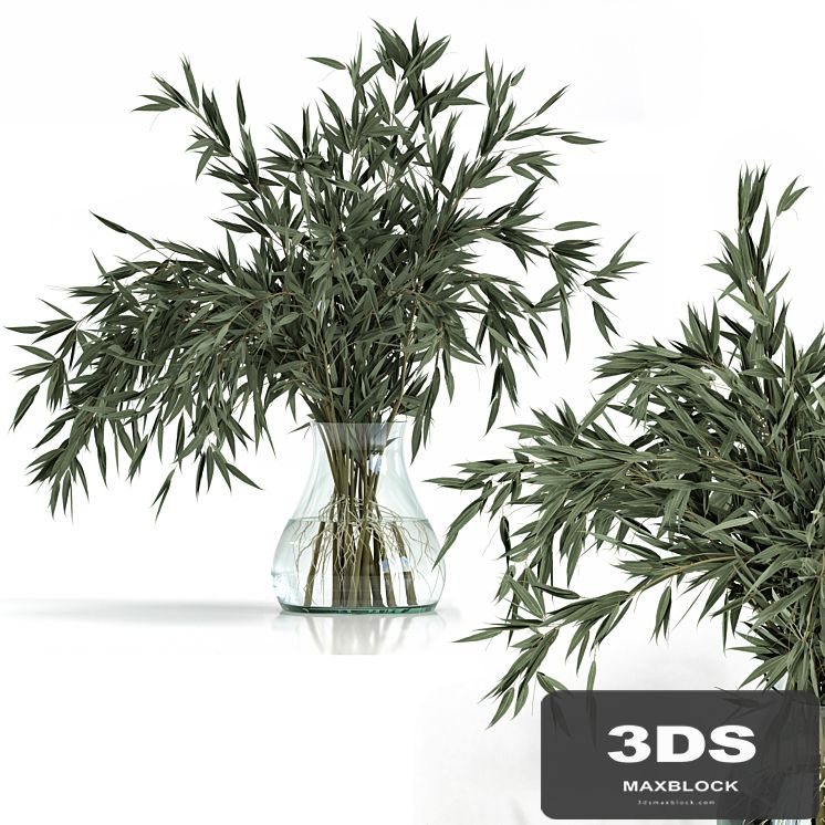 Green Branch in vase - Bouquet 003