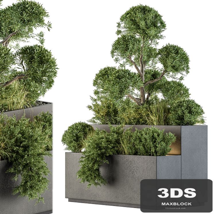 Outdoor Plant Set 214 - Plant Box