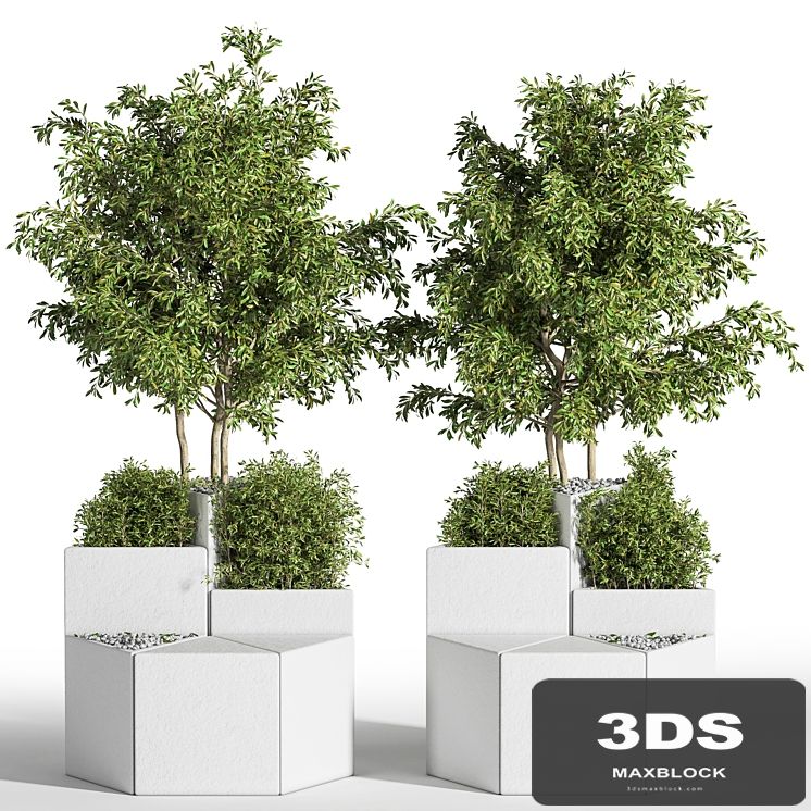 Outdoor Chair of The Shrub