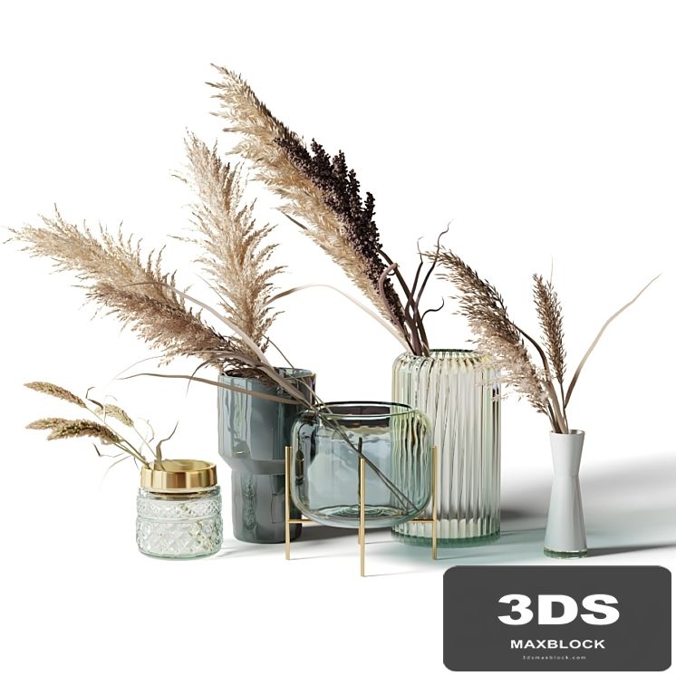 Set of 5 bouquets of dried flowers in glass vases