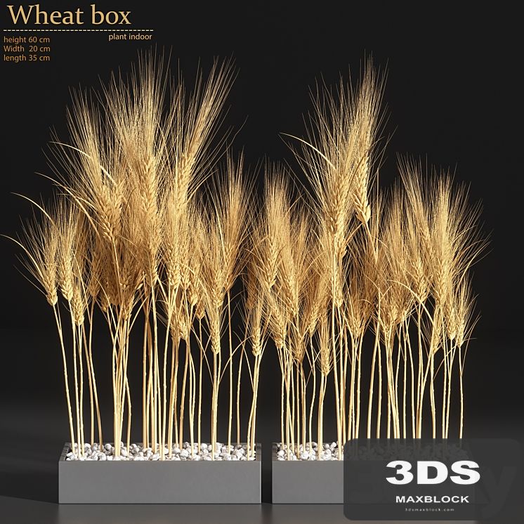 Wheat Box