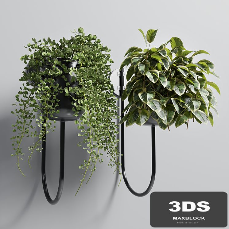 Indoor plant plant wall metal vase 01